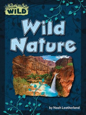 cover image of Wild Nature